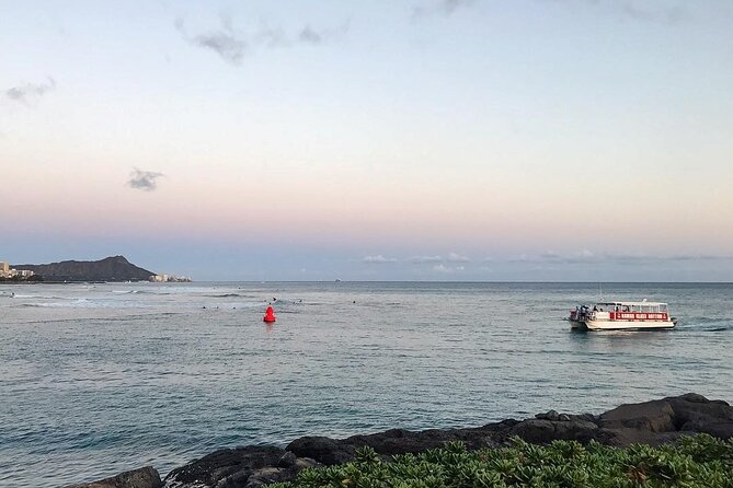 Sea Safari, Dolphins, Turtles and Waikiki Cruise - What You Actually See Underwater Through the Ports