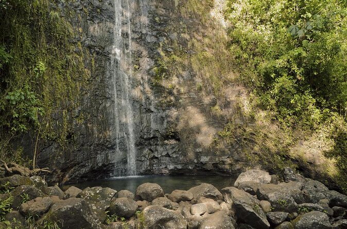 Self guided Hike Trail to Nature Walk & Waterfall - Key highlights at a glance