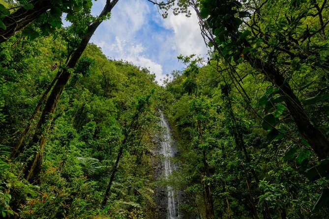 Self guided Hike Trail to Nature Walk & Waterfall - How hard is it, and what to bring so you stay happy