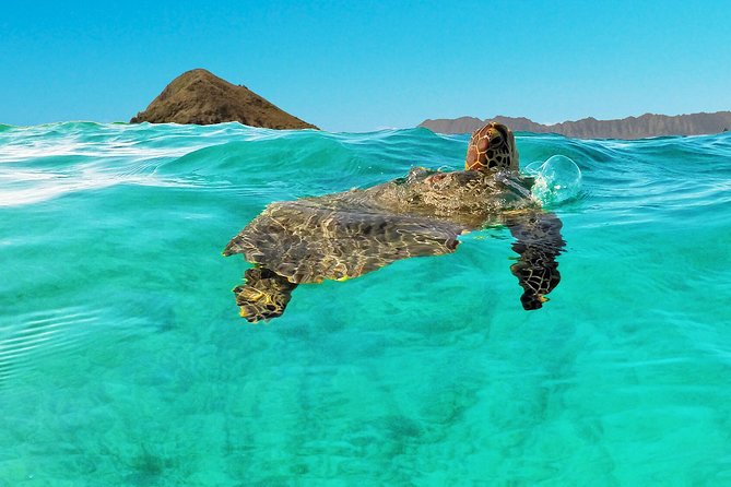 Self-Guided Kayaking Discovery in Kailua, Oahu - How long is 5 hours, really?