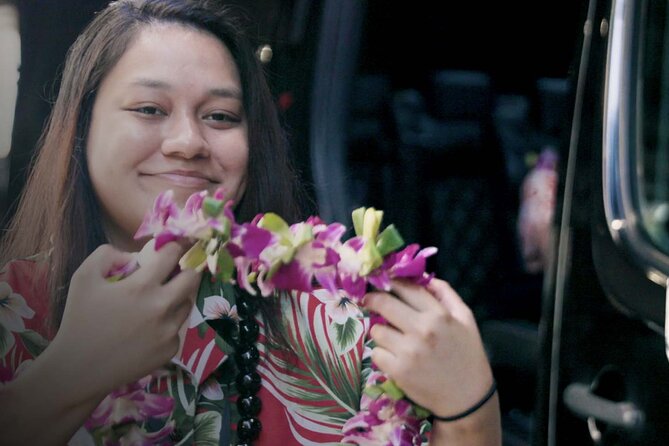 Shared Arrival Transfer: Honolulu Airport to Hotel or Cruise Terminal - The Ride: A/C Mercedes Shuttle and a Small Group Setup