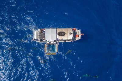 Shark Cage Diving On "The World Famous North Shore of Oahu", Hawaii - The 2-hour schedule: what happens from the dock to the cage