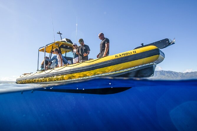 Shark-Dive Tour on Oahu's North Shore - Sharks you might see: Galapagos and tiger sharks, plus surprises