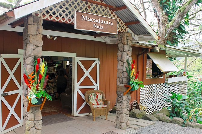 Sights & Bites Ultimate Oahu Circle Island Foodie Tour - Makapu‘u Point and Mokoli’i Island: two quick hits for big photo payoff