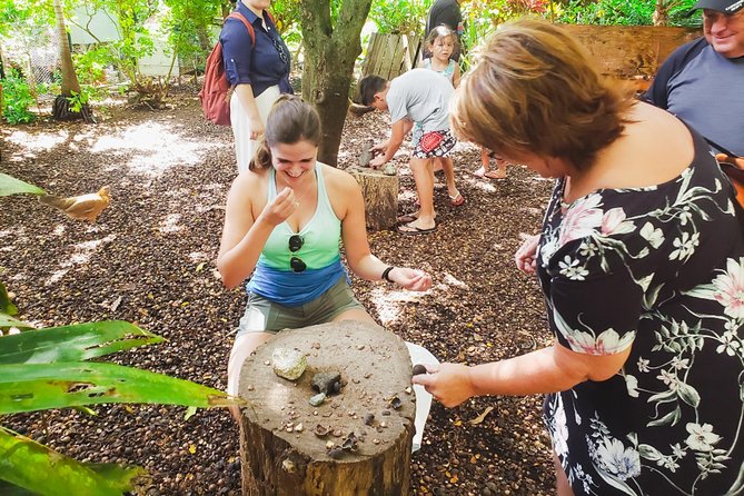 Sights & Bites Ultimate Oahu Circle Island Foodie Tour - Tropical Farms (Macadamia Nut Farm Outlet): sampling plus gifts