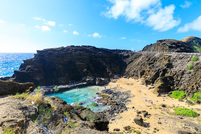 Sights & Bites Ultimate Oahu Circle Island Foodie Tour - Puaʻena Point Beach Park: turtle time, with real-world odds