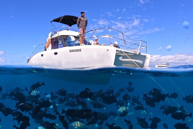 Small Group Turtle Canyon Snorkel in Waikiki (Boat Tour) - Key Highlights You’ll Feel Immediately