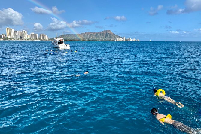 Small Group Turtle Canyon Snorkel in Waikiki (Boat Tour) - Getting To Waikiki’s Turtle Canyon Without the Big-Boat Stress