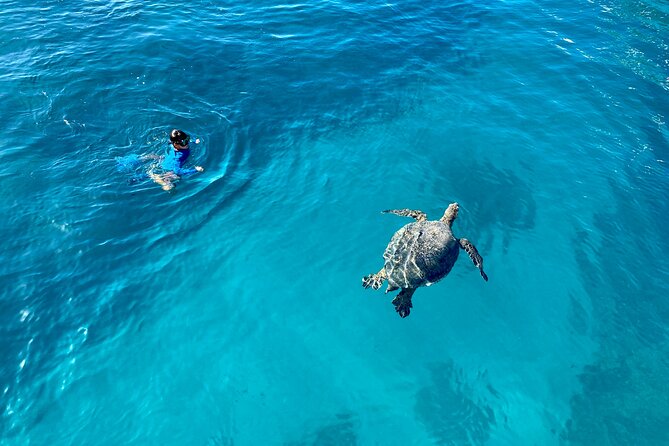 Small Group Turtle Canyon Snorkel in Waikiki (Boat Tour) - What the 2 Hours Feels Like On the Water