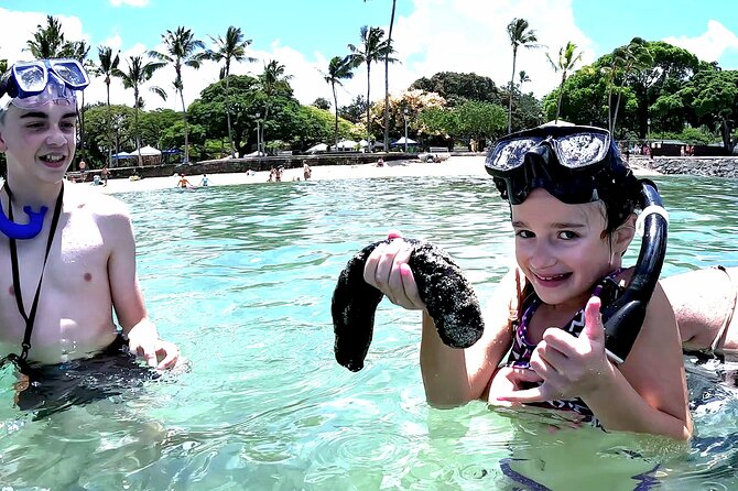Snorkeling in Waikiki Many Fish All Levels Free Video & Pics! - Quick Hits: Why This Waikiki Snorkel Works
