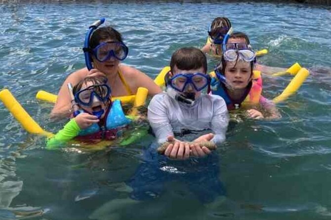 Snorkeling in Waikiki Many Fish All Levels Free Video & Pics! - When to Go: Waves, Warmups, and Why Timing Matters