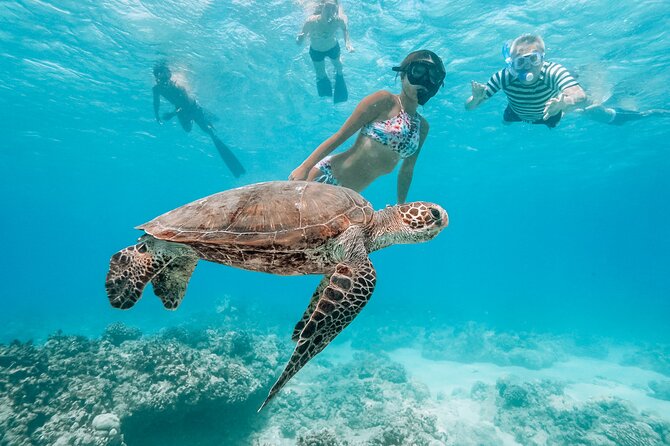 Snorkeling with Sea Turtles in Waikiki Hawaii Boat Tour - The catamaran ride: comfy, scenic, and actually useful