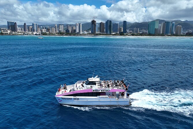 Sunset Cruise & Whale Watching from Oahu - How Much It Costs and Whether It’s Good Value