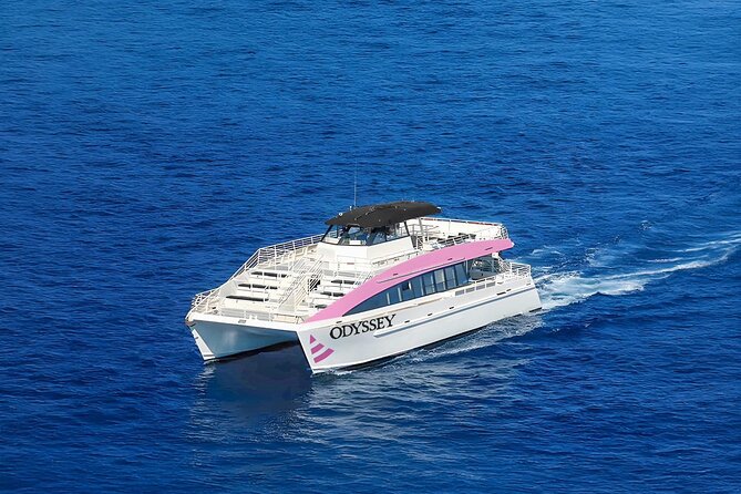 Sunset Cruise & Whale Watching from Oahu - Weather-Dependent Reality: What If the Evening Turns Rough?