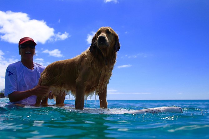 Surf Lessons on the North Shore of Oahu - Key Points I Think Matter Most