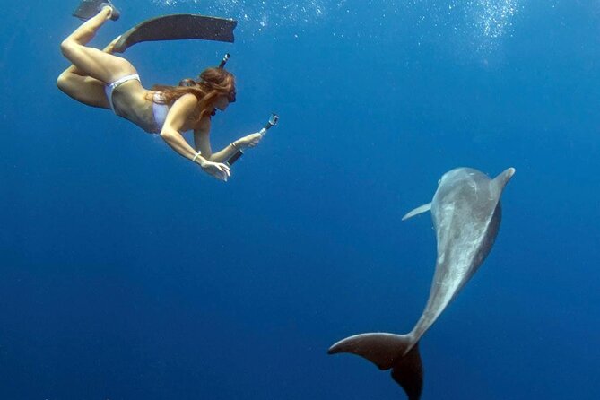 Swim with Dolphins Catamaran with Waterslide & Lunch on Oahu - Dolphin Search and Dolphin Swim: What “Fast-Paced” Really Means