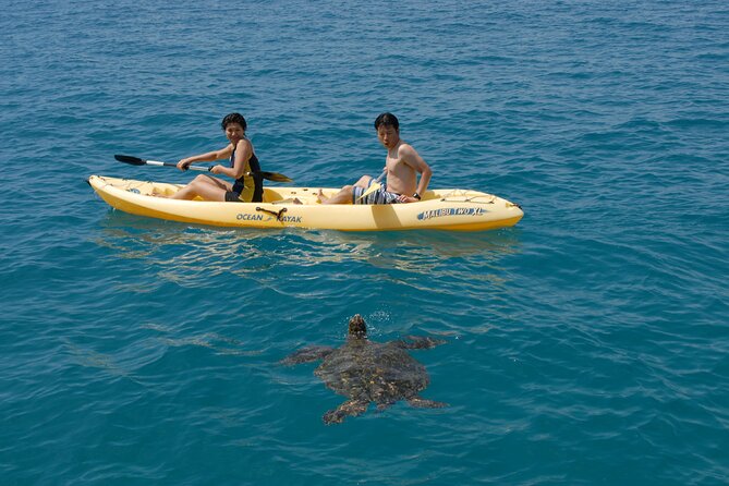 Swim with Dolphins Catamaran with Waterslide & Lunch on Oahu - Makaha Snorkeling: Sea Turtles, Reef Fish, and a Bigger Than Expected Water Menu