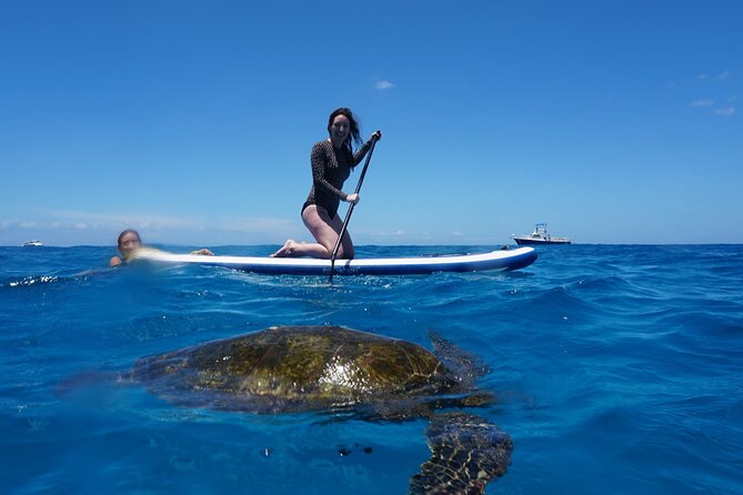 Swim with Dolphins Catamaran with Waterslide & Lunch on Oahu - On-Board Comfort: Food, Drinks, and the Stuff That Makes or Breaks the Day
