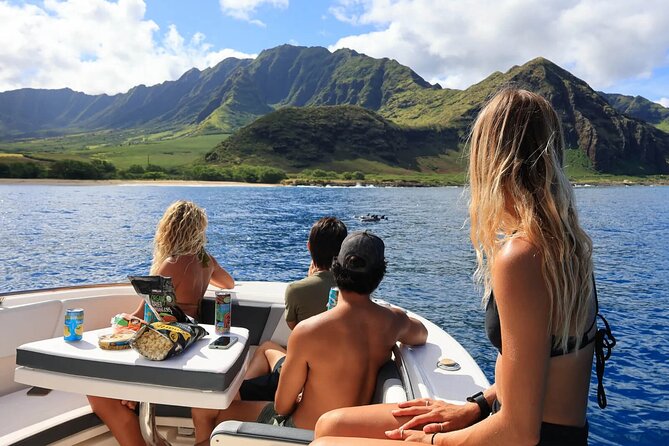 Swim With Dolphins & Turtles in West Oahu (Semi-Private Tours) - Snorkeling gear, safety vibe, and how to prep