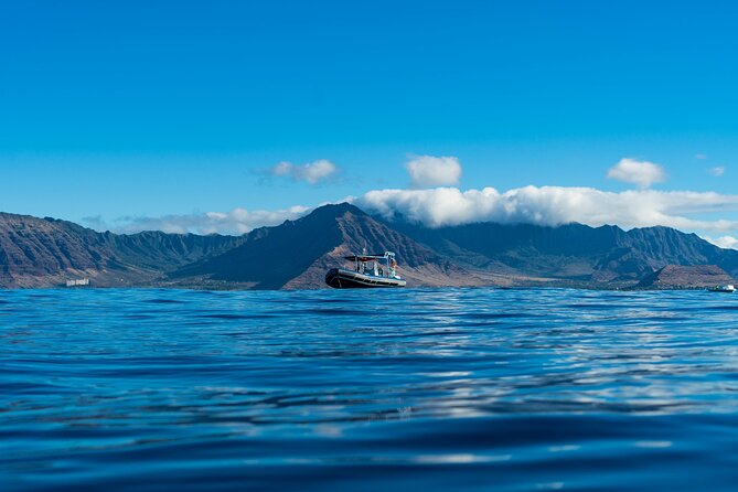 Swimming with Wild Dolphins Speedboat Adventure on Oahu - Why a Zodiac dolphin swim beats a big-boat day in Oahu