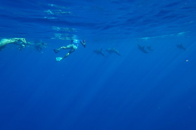 Swimming with Wild Dolphins Speedboat Adventure on Oahu - Practical tips: seasickness, what to pack, and camera strategy