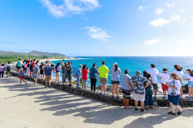 Tour of North Shore & Waimea Waterfall - Hotel Pickup in Waikiki: Convenient, But Read the Fine Print