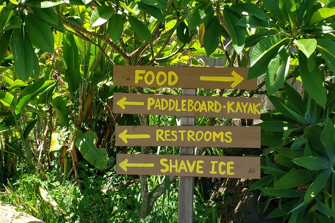 Tour of North Shore & Waimea Waterfall - Tropical Farms Macadamia Stop: Easy Souvenirs, Real Sampling
