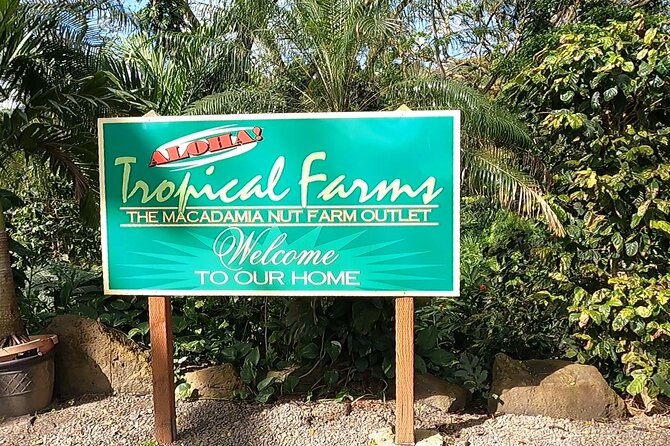 Tour of North Shore & Waimea Waterfall - Kahuku Eats: Fumi’s Kahuku Shrimp Lunch and Cash Planning