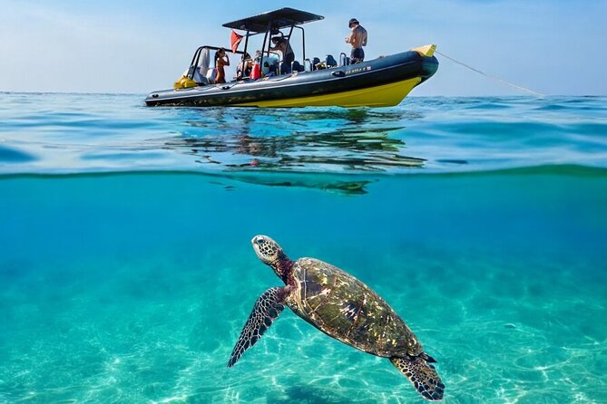 Turtle Canyon Snorkel Adventure - Small Group 6 Passengers - Why a max-6 speedboat snorkel beats the big-group chaos