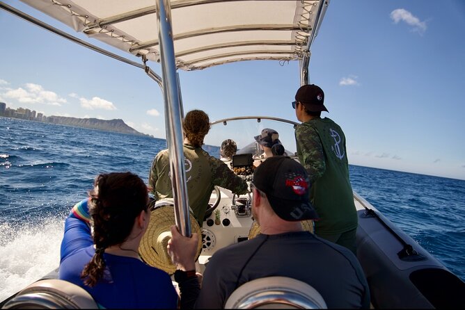 Turtle Canyon Snorkel: Semi Private Boat Tour - Boat ride reality check: quick, wet, and fun