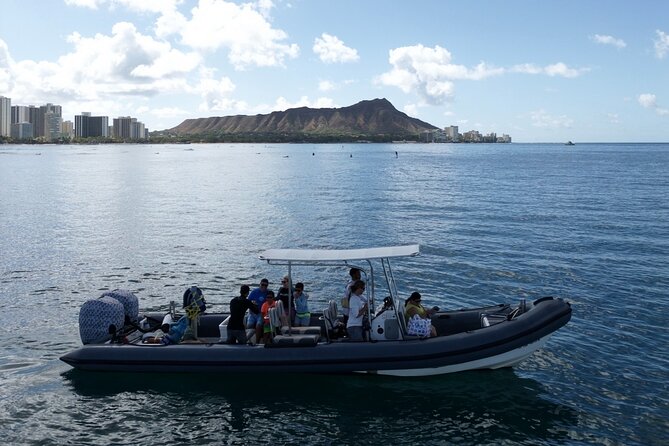 Turtle Canyon Snorkel: Semi Private Boat Tour - Semi-private doesn’t mean empty water