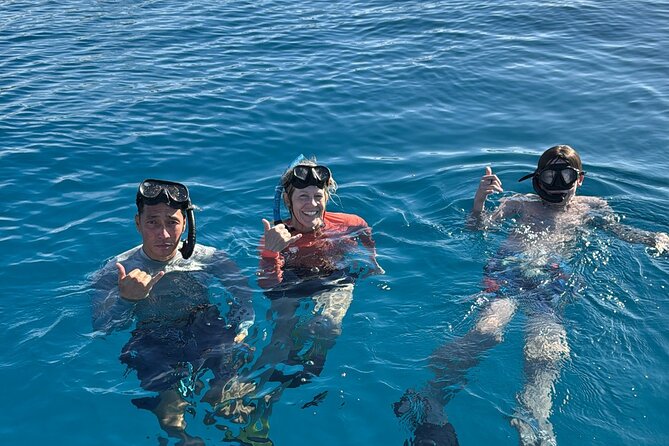Turtle Canyon Snorkel Tour - Semi-private: 6 passenger max - Key highlights you’ll feel right away