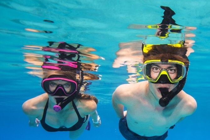 Turtle Canyon Waikiki Snorkel Adventure - Wildlife Spotting Tips Your Guide Will Actually Help With
