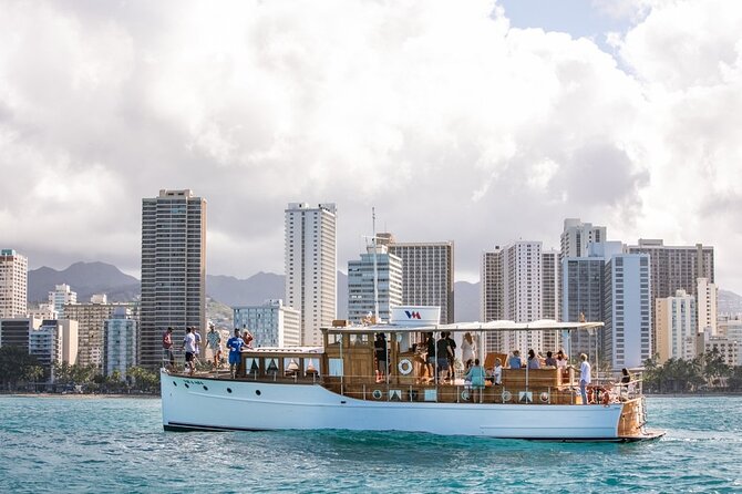 Vida Mia Morning Coffee Cruise - Wildlife sightings: dolphins, whales, and sea turtles (with a realistic mindset)