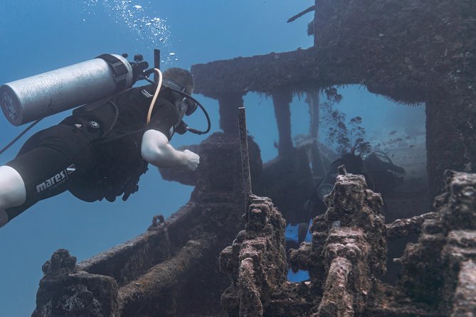 Waikiki 2 Tank World Class Wreck SCUBA Diving - Certified Only - The Wreck Session: Sea Tiger and Why It Feels More Than a Photo Stop