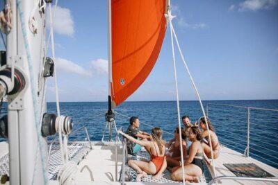 Waikiki 3pm Tradewind Sail - Open Bar Included - Whale Chance (With Real Expectations) Plus Dolphins and Sea Turtles