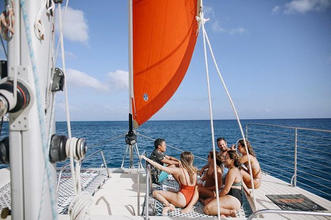 Waikiki 3pm Tradewind Sail - Open Bar Included - Whale Chance (With Real Expectations) Plus Dolphins and Sea Turtles