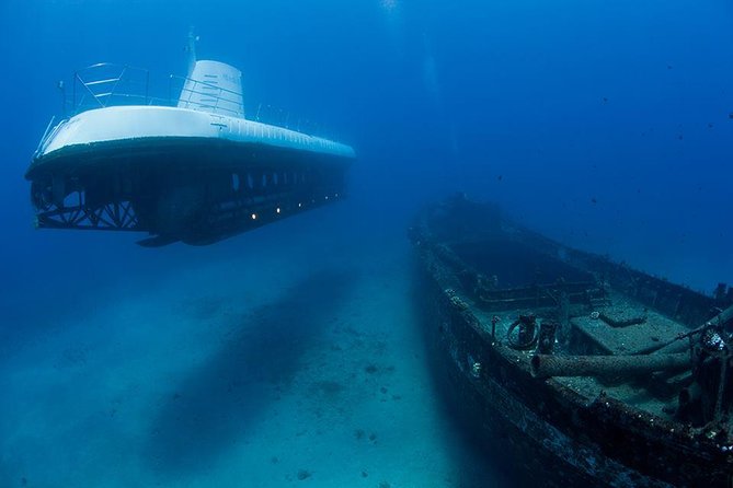 Waikiki: Atlantis Submarine Adventure - Morning or Afternoon: Pick the Slot That Fits Your Day