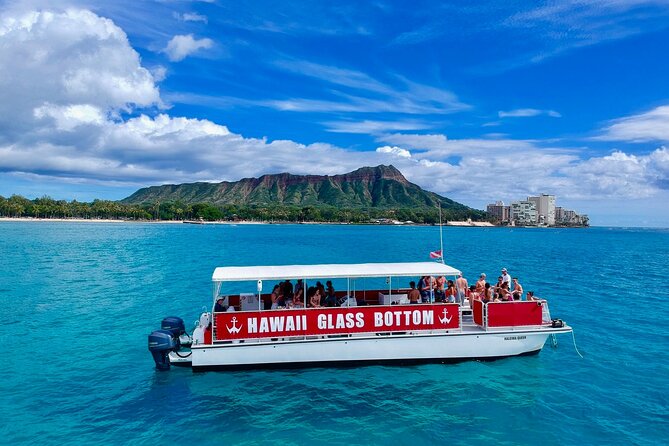 Waikiki Beach Glass Bottom Boat Cruise - Marine life odds: turtles, dolphins, whales, and why weather matters