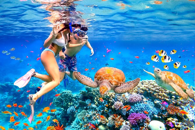 Waikiki Catamaran Escape: Snorkel with Turtles & Water Sports Fun - The Catamaran Comfort: Snacks, Drinks, and Room to Breathe