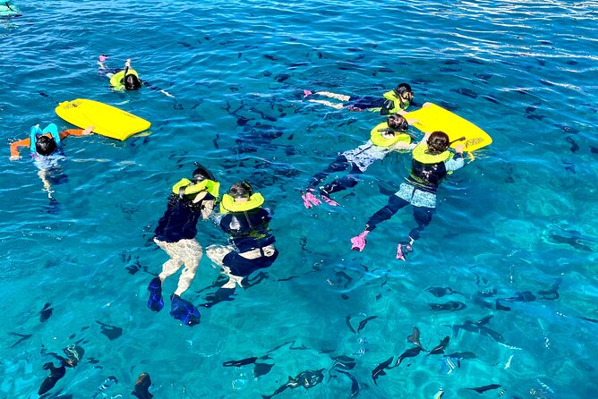 Waikiki Catamaran Escape: Snorkel with Turtles & Water Sports Fun - Pickup and Check-In: The Part That Can Make or Break Your Day