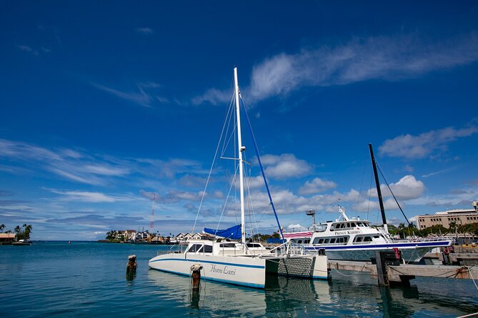 Waikiki Catamaran Snorkel Sail with Lunch: Turtles Guaranteed - Snorkeling with turtles: what to expect in the water