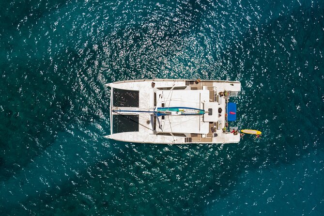 Waikiki Catamaran Snorkel Sail with Lunch: Turtles Guaranteed - Price and value: $134.95 with gear, lunch, and the turtle fix