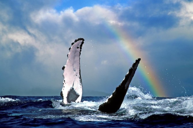 Waikiki Deluxe Catamaran Whale Watch - Stop 2: Waikiki—Coast Views While You Look for Breaches