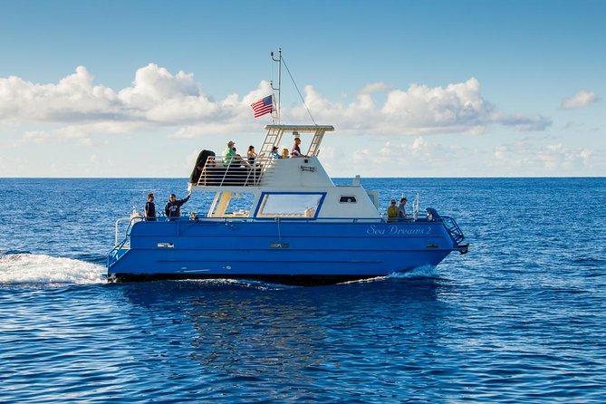 Waikiki Deluxe Catamaran Whale Watch - On-Board Comfort: Seating, Drinks, and Choppy-Water Reality