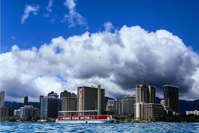 Waikiki Glass Bottom Boat Tour - The Glass-Bottom Reality: Portals, Positioning, and Expectations