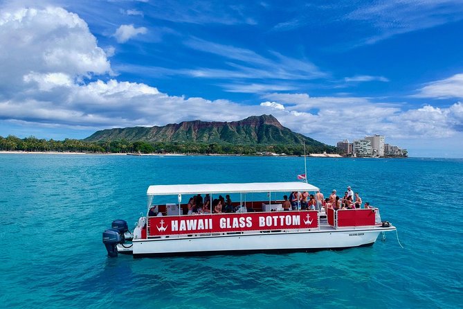 Waikiki Glass Bottom Boat Tour - Stop at Kewalo Basin: Where the Trip Starts and the Ocean Gets Real