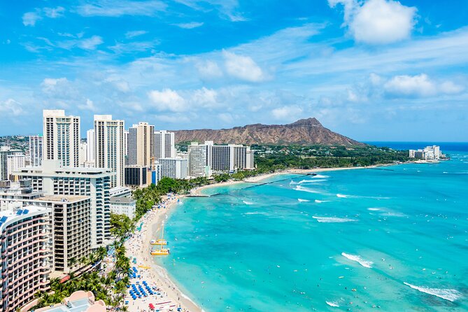 Waikiki Green Sea Turtle Snorkeling Tour - Boat Excursion - Meeting at Kewalo Basin Harbor: where the tour starts