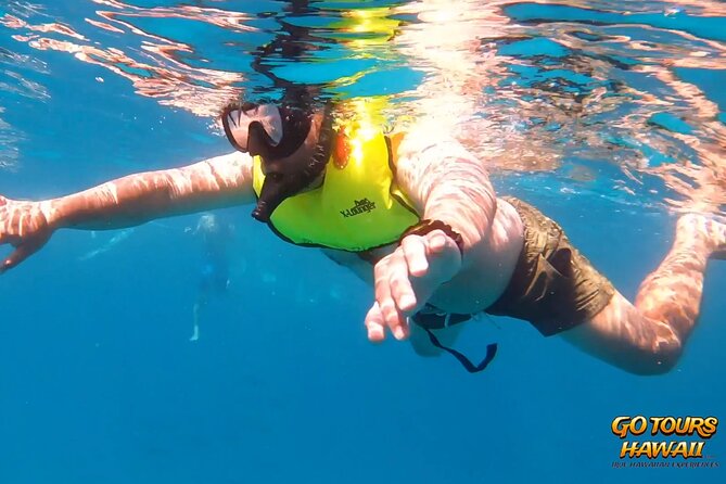 Waikiki Green Sea Turtle Snorkeling Tour - Boat Excursion - Price and value: is $129.99 worth it?