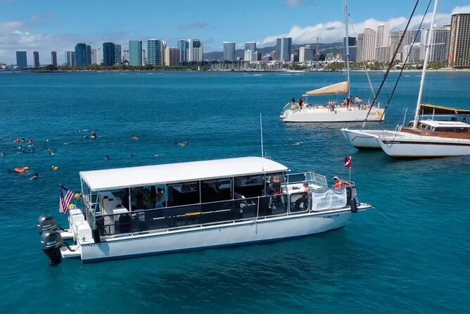 Waikiki Green Sea Turtle Snorkeling Tour - Boat Excursion - Weather and timing: how to avoid stress on Oahu